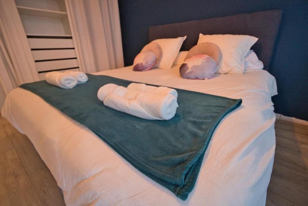 Apartamento *Grand T3*Lumineux*Vue*Parking* Toulouse Exterior foto